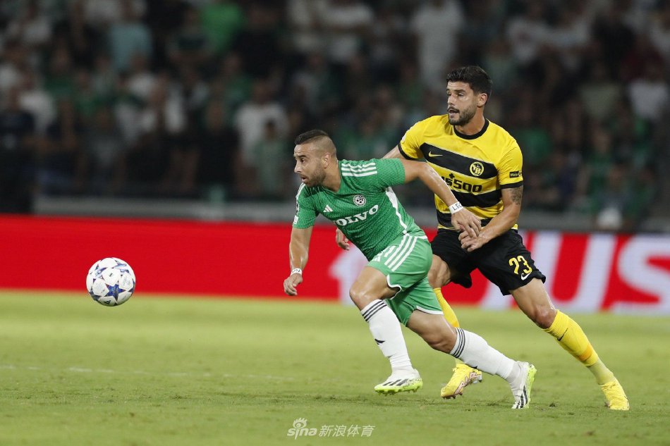 分析运动员 分析运动员